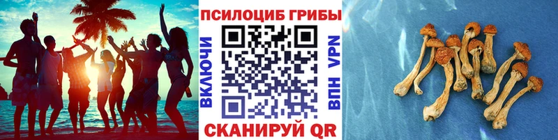 OMG ССЫЛКА Карачаевск Псилоцибиновые грибы Magic Shrooms