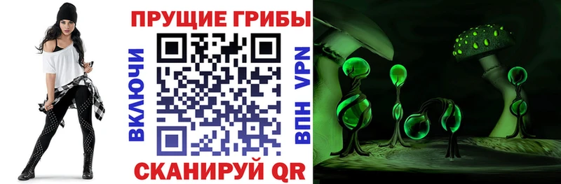 Псилоцибиновые грибы MAGIC MUSHROOMS Карачаевск
