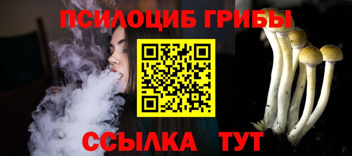 Галлюциногенные грибы мицелий Карачаевск