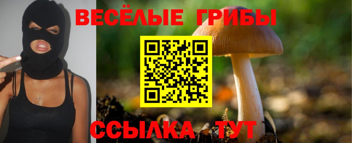 Псилоцибиновые грибы Psilocybine cubensis  закладки  Карачаевск  Вход с VPN  Галлюциногенные грибы Psilocybine cubensis 